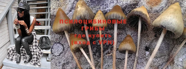 стафф Балабаново