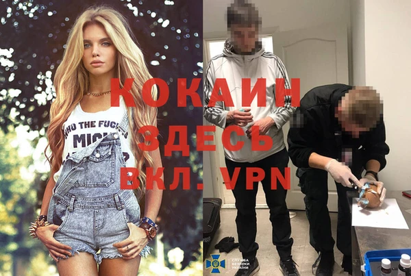 меф Сясьстрой